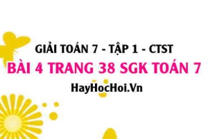 Giải bài 4 trang 38 Toán 7 Tập 1 SGK Chân trời sáng tạo